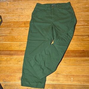 Toad and co pants.  Earthworks wide leg.